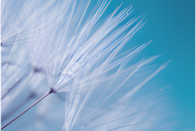 Patient-reported outcomes study launches with The LAM Foundation