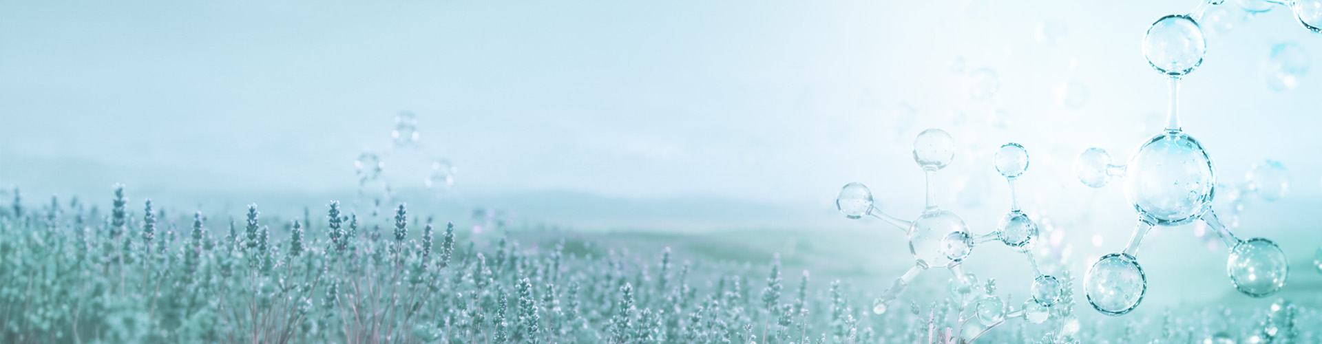 Bright sky background for Our Team page